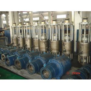 Corrosion Resistance Heavy Duty Hydraulic Cylinder For Nuclear Power Station