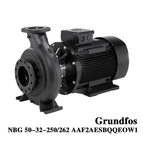 Grundfos NBG 50-32-250/262 Vertical or Horizontal Mounting Horizontal Centrifugal Pump End Suction Single Stage Close Coupled Space Saving