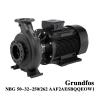 China Grundfos NBG 50-32-250/262 Vertical or Horizontal Mounting Horizontal Centrifugal Pump End Suction Single Stage Close Coupled Space Saving wholesale