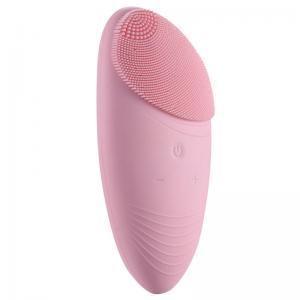 China Private Label Sonic Facial Cleansing Brush Li Ion Rechargeable Battery supplier