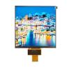 China                    7.5inch 800X800 IPS Highlight Square LCD Display with Mipi Interface              wholesale