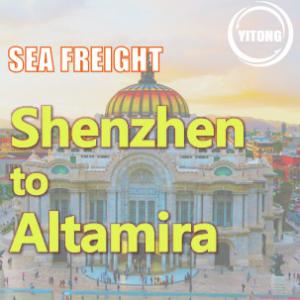China DDU DDP International Sea Cargo Services From Shenzhen to Altamira Mexico supplier