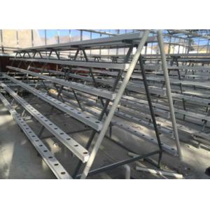 China Sistema de hidroponía NFT eficiente en el agua con gestión automatizada wholesale