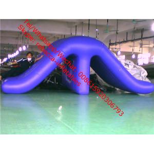 The Gigantic Water Play Slide Inflatable water slide with climber
