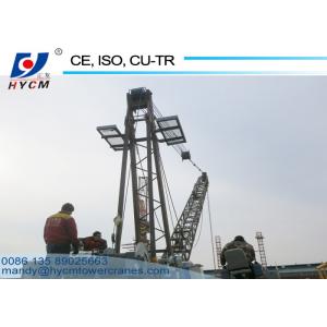 China 8ton WD80 Derrick Crane on the Roof Used for Removing Heavy Tower Cranes supplier