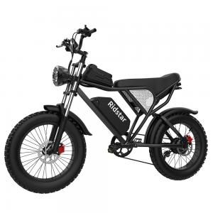 330lb load Off Road Fat Tire Electric Bike  Mountain Snow Electric Bicycle