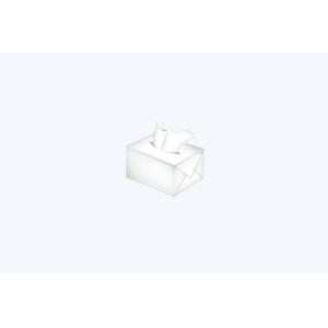 China ligne de production de tissus du visage boîte automatique dessin machine automatique de tissus du visage wholesale