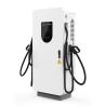 China Super Fast Dual Gun 120kW CCS2 Commercial DC EV Charging Station OCPP 1.6 DC EV Charger wholesale