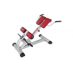 China Pro Commercial Gym Rack And Exercise Equipment Back Extension Bench wholesale