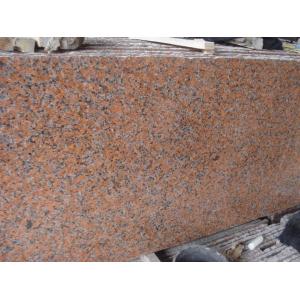 China G562 China Granite Polished Maple Red Granite Tile L*30cm Granite Exterior Stairs for house supplier