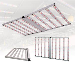 China Lm281b Lm301h 10 Bar 1000W Full Spectrum LED Grow Light Plant Pour une serre intérieure supplier