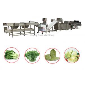 Automatic Salad Production Line Leaf Vegetable Cutting And Washing Production Line