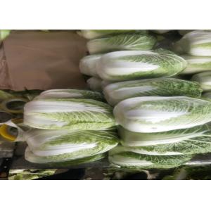 China No Stain Organic Napa Cabbage Improve Digestion Supply For Wholesaler supplier