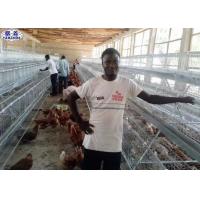 China Egg Layer Chicken Cage , Hens Poultry Metal Chicken Cage For Kenya on sale
