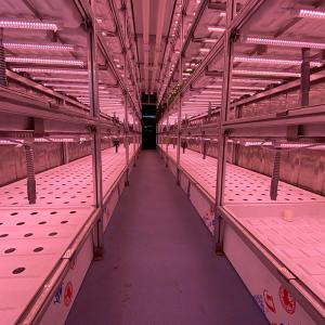 China Temperature Climate Control 40 Foot Container Hydroponic Farm Greenhouse Agricultural Growing System supplier