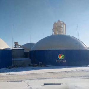China Commercial Biogas Plant Cow Dung Gas Plant Biogas Systems supplier