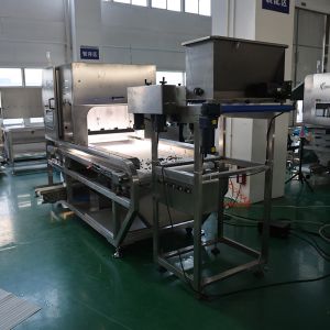 China Customized Color Sorter Machine with Advanced AI dehydrated vegetables Sorting wholesale