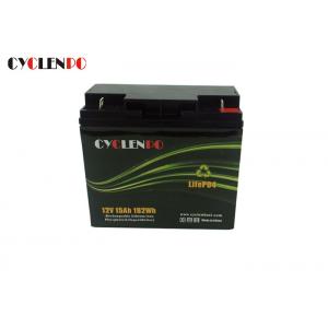 Rechargeable Deep Cycle Lifepo4 Battery 12v 15ah High Energy Capacity Extremely Safe