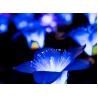 China LED Simulation Silicone Kapok Lamp Custom DMX512 Control Lantern Park Beautiful Display Bright wholesale