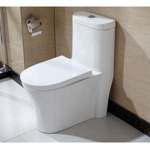 10 Inch Rough In One Piece Elongated Toilet Dual Flush Wall Mounted