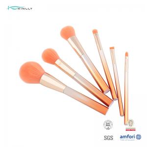 Aluminum Ferrule Face Makeup Brush Set 6PCS Plastic Handle Soft Synthetic Hair