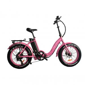 China Adult Size Portable Electric Bike Lithium Battery Powered supplier