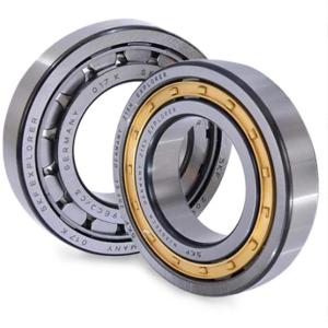 SKF NJ209ECM Cylindrical Roller Bearing 85mm OD 19mm Width