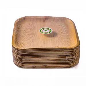 Biodegradable Disposable 10 Inch Square Areca Palm Leaf Plates For Corporate Events