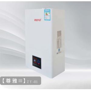 Wall Hung Gas Hot Water Heaters Security Protection Lpg Gas Water Heater 42kw