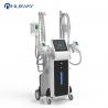 3 years warranty Cool scuplting cryolipolysis slimming machine fat freezing