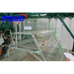 Wholesale automatic high-density chicken cage system