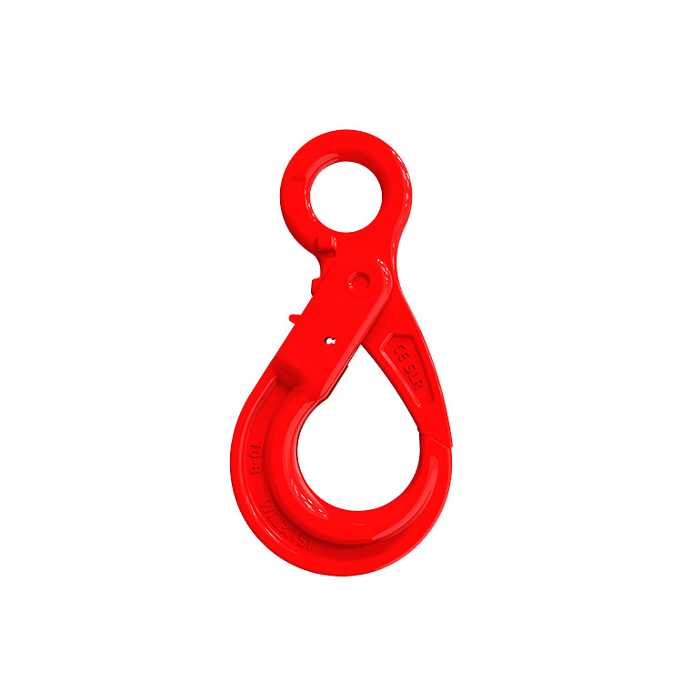 SLR765-G80 EUROPEAN TYPE EYE SELF-LOCKING HOOK