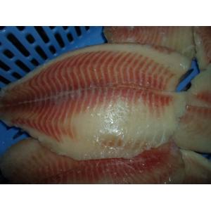 Thailand Origin Fresh Frozen Seafood / Bulk Frozen Fish Tilapia Fillet