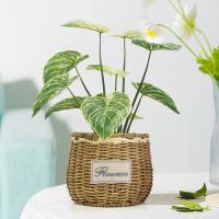 China Philodendron Birkin Decoration Artificial Bonsai Tree For Landscaping on sale