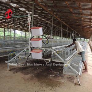 CE A Type 120 Birds Chick Rearing Cage With Drinkers And Feeders Star