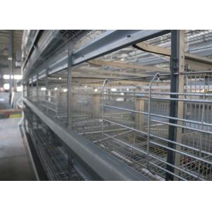China High Efficiency Poultry Layer Cage Poultry Control Shed Farm Equipment supplier