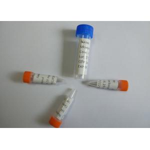 Mouse Anti-Oxycodone Monoclone Antibody For Rapid Diagnostic Test