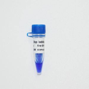 China 10bp DNA Ladder Gel Electrophoresis High Purity Reagents supplier