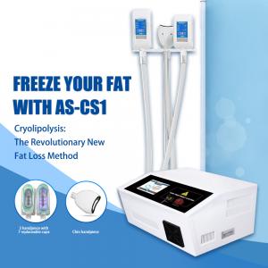 China Portable Cryolipolysis Lipo Machine Cryo Fat Freezer for Double Chin Fat Removal supplier