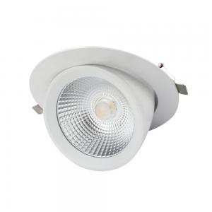 China Gimbal LED Scoop Downlight supplier