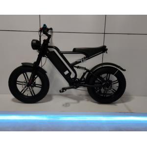 48V1000W Motor Electric Fat Bike  with Throttle  and torque sensor