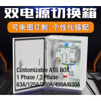 China Compact Single Phase Automatic Transfer Switch ATS Box Waterproof Wall - Mount 2 Pole 63A  400V on sale