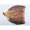 China Sweet Squid Body Raw Material 45-55% Moisture For Fresh Grilled Squid wholesale