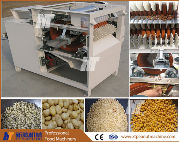 Almond Groundnut Skin Removing Machine 250kg/h Wet Peanut Skin Peeling Machine