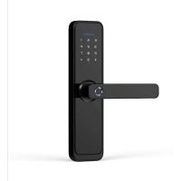 China 6V Bluetooth Smart Door Locks Sturdy Red Bronze Wifi Front Door Lock on sale