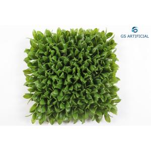 China Anti UV Residential Artificial Grass Moisture Resistant For Indoor Decoration supplier