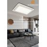China 6000K LED Ceiling Lamp Anti Rust Iron Chassis for Home Commercial Space wholesale