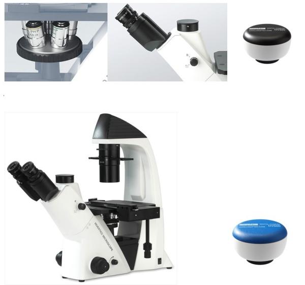 Microscopio biológico invertido de Trinocular del soporte, microscopio invertido de Trinocular