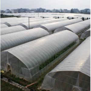 China OEM ODM Plastic Sheeting Rolls Greenhouse Anti Aging Anti Fog supplier