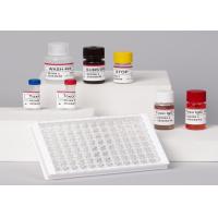 China Alpha Fetoprotein Test Elisa Quantitative Kit Laboratory Or Hospital Use on sale